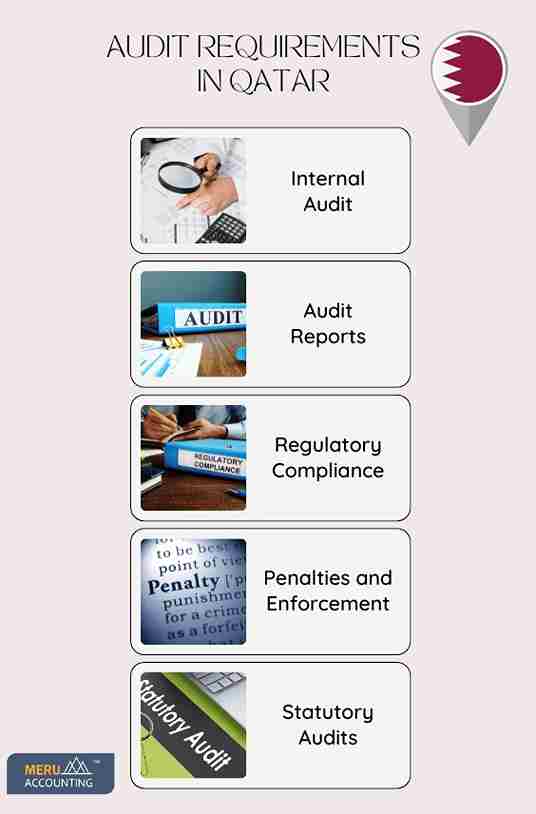 AUDIT REQUIREMENTS